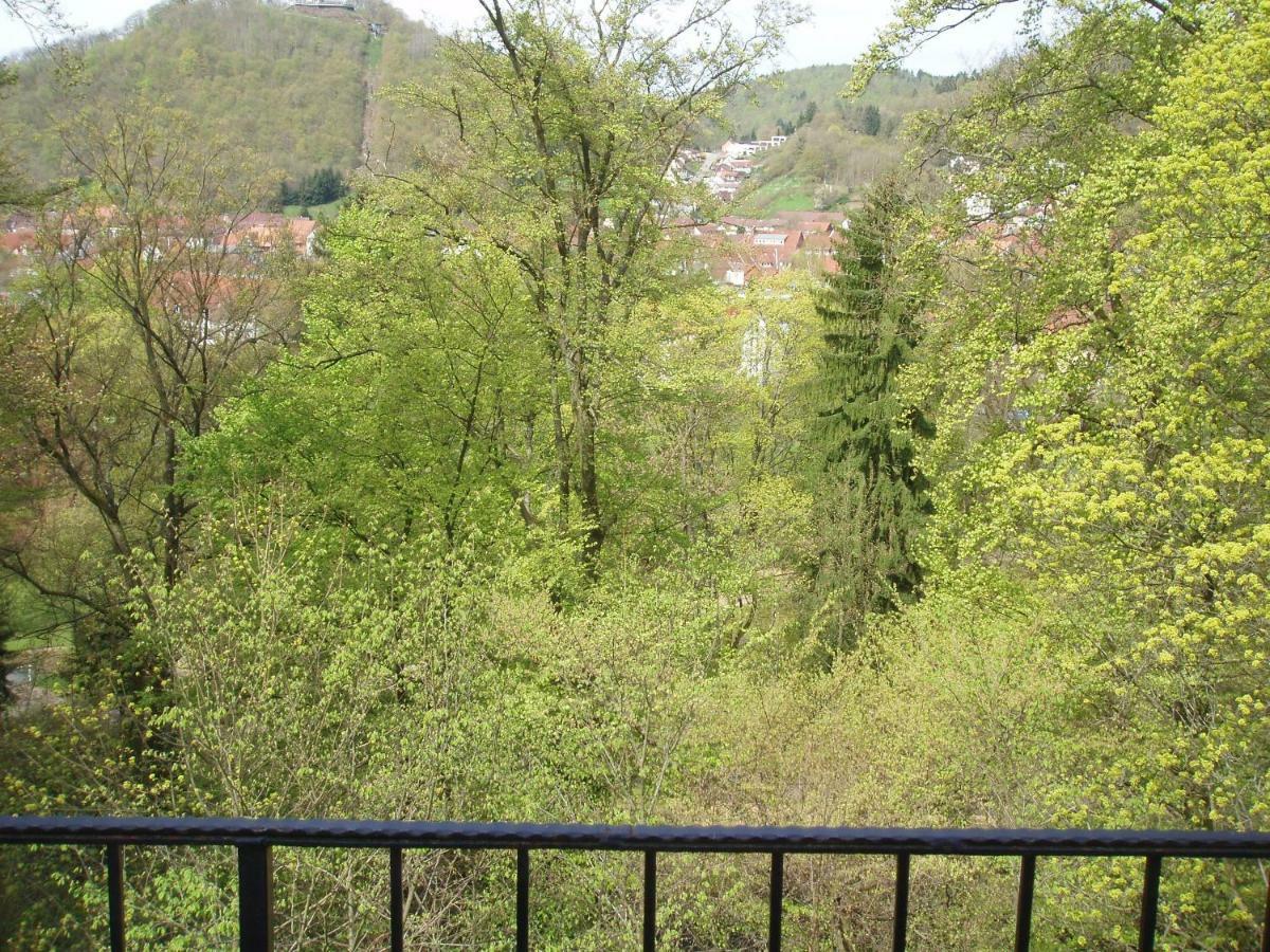 Pension/Bed And Breakfast Pangea Bad Lauterberg Exterior photo